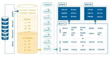 雅森科技陳暉 十年求索，探路醫(yī)療AI的上海實(shí)踐與需求邊界